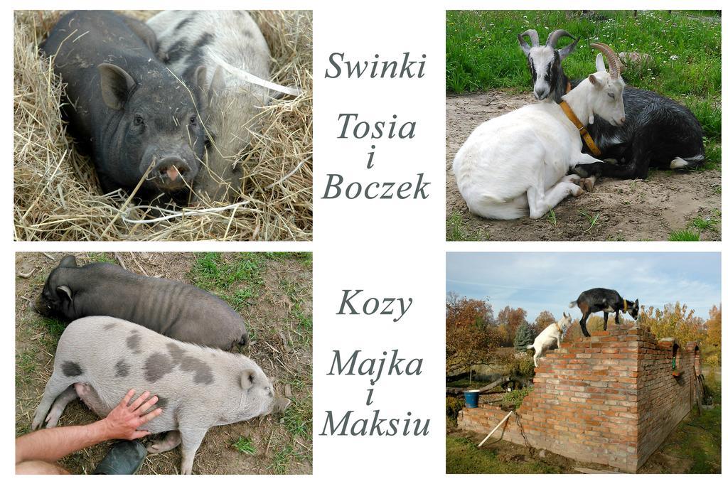 Фермерський будинок Na Zielonym Wzgorzu Garcz